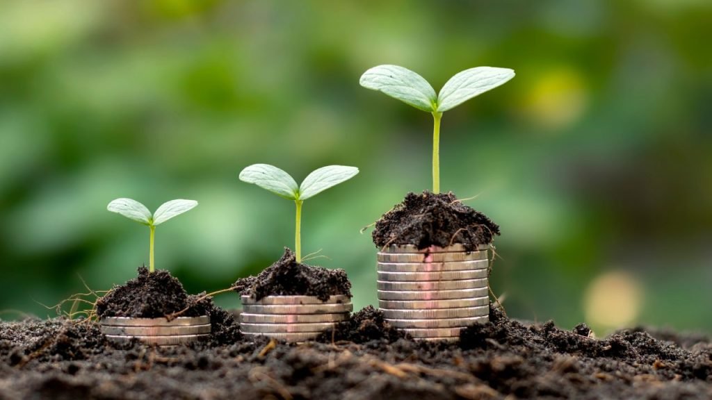 Measuring Business success through accurate accounting